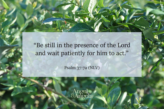 “Be still in the presence of the Lord and wait patiently for him to act.” Psalm 37:7a (NLV)