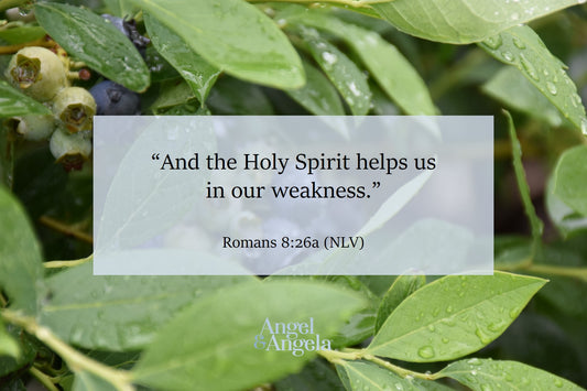 I don't even know how to offer the right words in prayer . . .