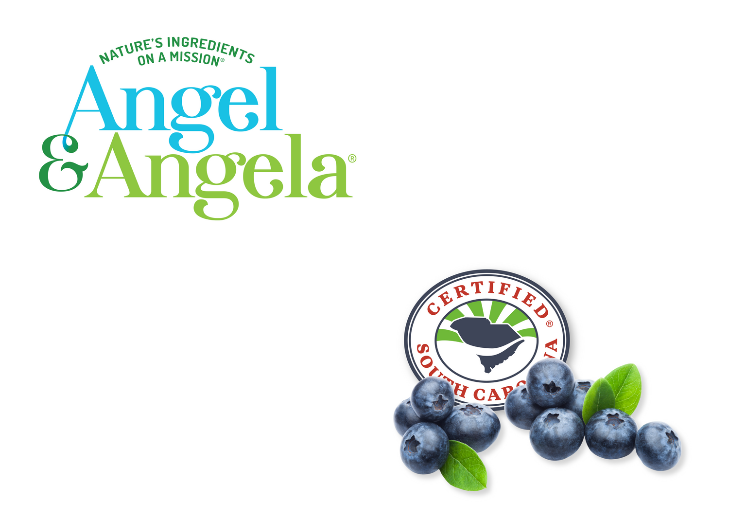 Shop all Collections