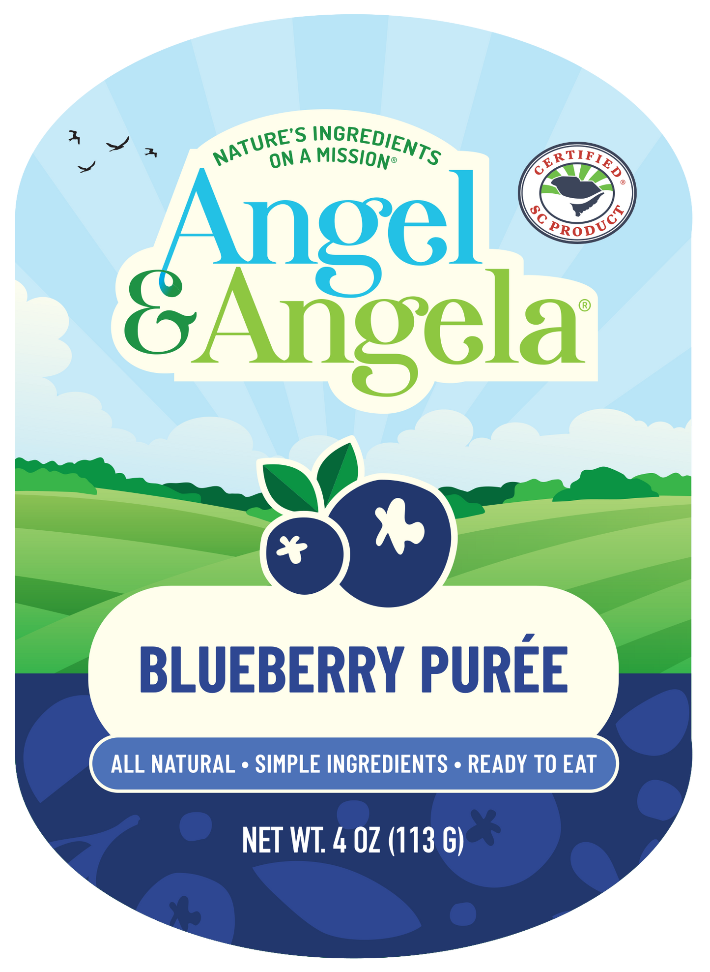 Shop | Simple Fruit 4oz Blueberry Puree